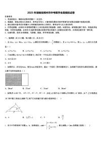 2025年湖南省郴州市中考数学全真模拟试卷含解析