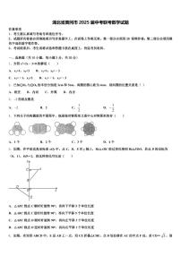 湖北省黄冈市2025届中考联考数学试题含解析