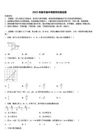 2025年新丰县中考数学仿真试卷含解析