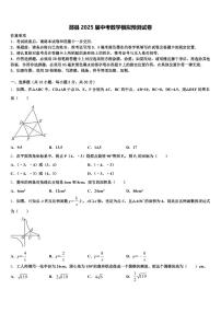 郧县2025届中考数学模拟预测试卷含解析