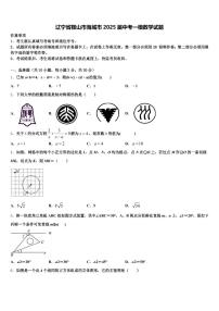 辽宁省鞍山市海城市2025届中考一模数学试题含解析