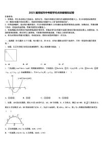 2025届塔城市中考数学对点突破模拟试卷含解析