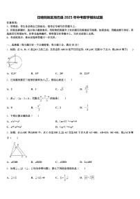 日喀则地区岗巴县2025年中考数学模拟试题含解析