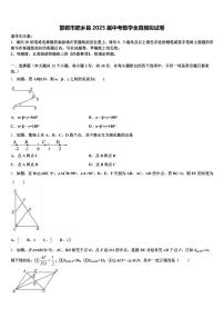 邯郸市肥乡县2025届中考数学全真模拟试卷含解析