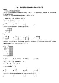 2025届河源市连平县中考试题猜想数学试卷含解析