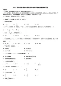 2025年湖北省襄阳市宜城市中考数学最后冲刺模拟试卷含解析