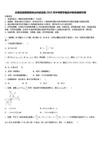 云南省楚雄彝族自治州武定县2025年中考数学最后冲刺浓缩精华卷含解析