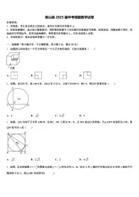 衡山县2025届中考猜题数学试卷含解析