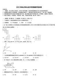 2025年眉山市彭山区中考押题数学预测卷含解析