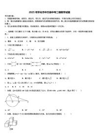 2025年怀化市中方县中考二模数学试题含解析
