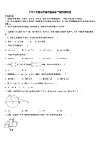 2025年怀化市中方县中考二模数学试题含解析