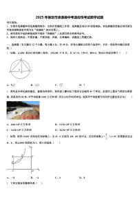 2025年保定市涞源县中考适应性考试数学试题含解析