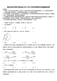 黑龙江省齐齐哈尔市克山县2024-2025学年中考数学对点突破模拟试卷含解析