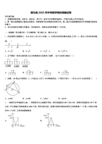 犍为县2025年中考数学模拟精编试卷含解析