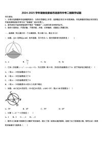 2024-2025学年湖南省娄底市涟源市中考二模数学试题含解析