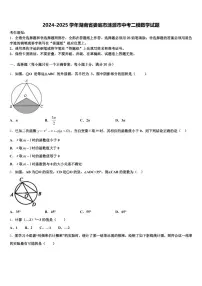 2024-2025学年湖南省娄底市涟源市中考二模数学试题含解析