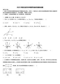 2025年普兰店市中考数学适应性模拟试题含解析