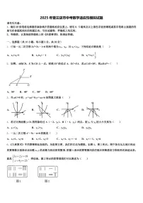 2025年普兰店市中考数学适应性模拟试题含解析