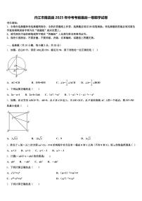 内江市隆昌县2025年中考考前最后一卷数学试卷含解析
