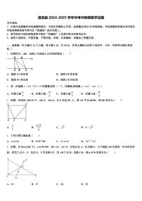 清流县2024-2025学年中考冲刺卷数学试题含解析