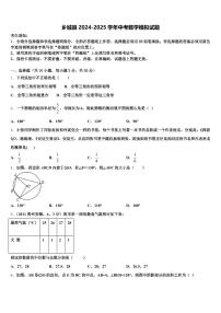 乡城县2024-2025学年中考数学模拟试题含解析