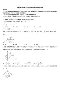 昌黎县2024-2025学年中考一模数学试题含解析