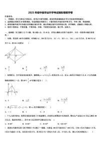 2025年绥中县毕业升学考试模拟卷数学卷含解析