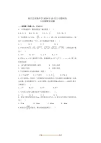 2024～2025学年四川省巴中市南江县实验中学八年级上10月月考数学试卷(无答案)