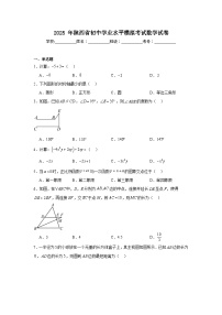 2025年陕西省初中学业水平模拟考试数学试卷（附答案解析）