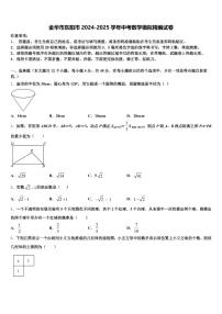 金华市东阳市2024-2025学年中考数学模拟精编试卷含解析