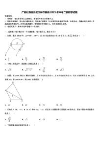 广西壮族自治区玉林市容县2025年中考二模数学试题含解析