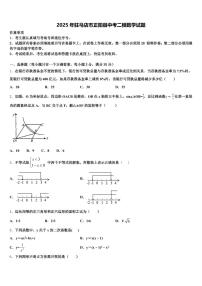 2025年驻马店市正阳县中考二模数学试题含解析