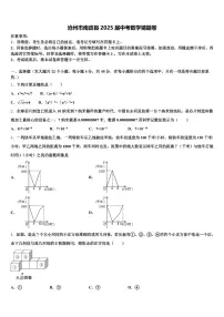 沧州市南皮县2025届中考数学猜题卷含解析