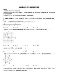 汝城县2025年中考五模数学试题含解析