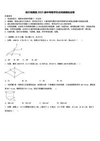 克什克腾旗2025届中考数学对点突破模拟试卷含解析