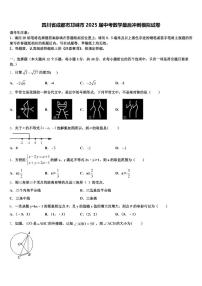 四川省成都市邛崃市2025届中考数学最后冲刺模拟试卷含解析