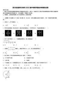 四川省成都市邛崃市2025届中考数学最后冲刺模拟试卷含解析