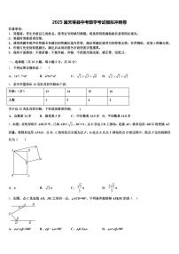 2025届天等县中考数学考试模拟冲刺卷含解析