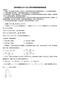 玉林市容县2024-2025学年中考数学模拟预测试卷含解析
