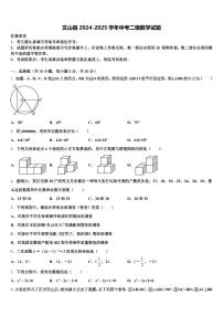 文山县2024-2025学年中考二模数学试题含解析
