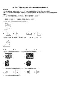 2024-2025学年辽宁省葫芦岛市连山区中考数学模拟试题含解析