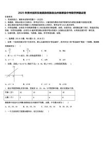 2025年贵州省黔东南苗族侗族自治州锦屏县中考数学押题试卷含解析