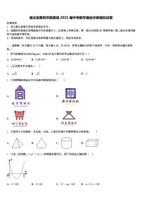 湖北省黄冈市蕲春县2025届中考数学最后冲刺模拟试卷含解析