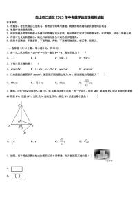 白山市江源区2025年中考数学适应性模拟试题含解析