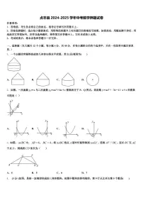 贞丰县2024-2025学年中考数学押题试卷含解析