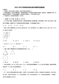 2024-2025学年徐州市泉山区中考数学五模试卷含解析