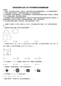 吉林省长春市九台市2025年中考数学对点突破模拟试卷含解析