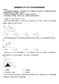 福建省莆田市2024-2025学年中考数学四模试卷含解析