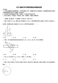 2025届南宁市中考数学最后冲刺模拟试卷含解析