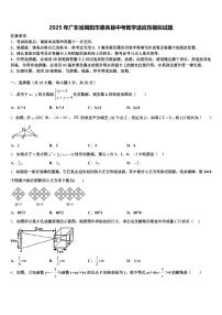 2025年广东省揭阳市惠来县中考数学适应性模拟试题含解析